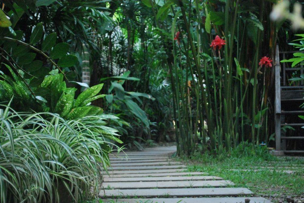 Breeze Of Pai Guesthouse Kültér fotó
