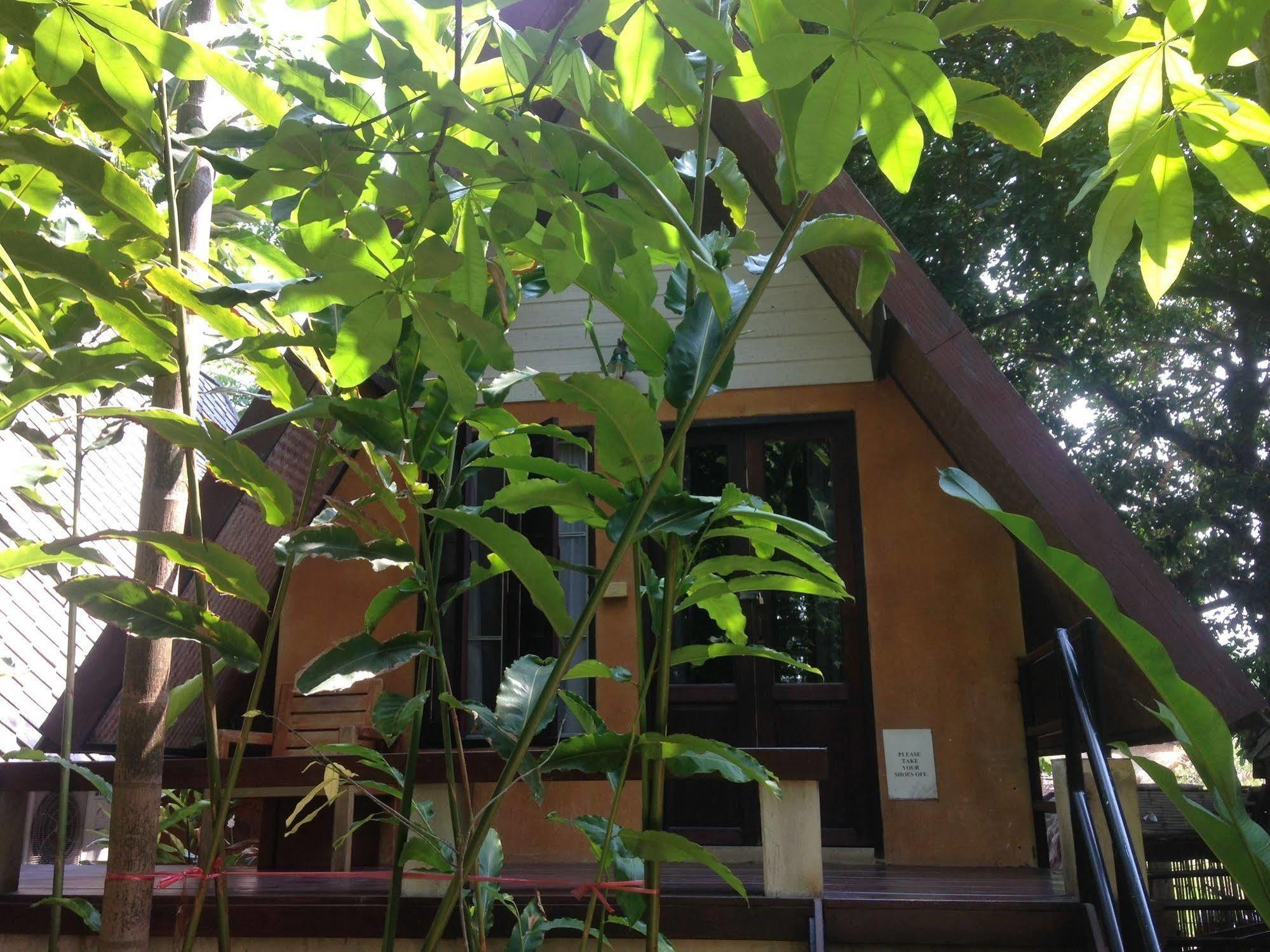 Breeze Of Pai Guesthouse Kültér fotó